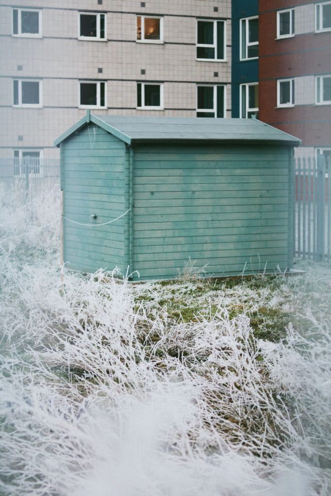 Image of a green shed in a frosty garden